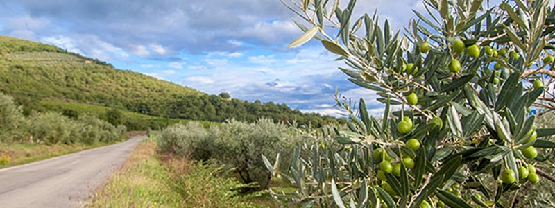 Along the Setteponti Road