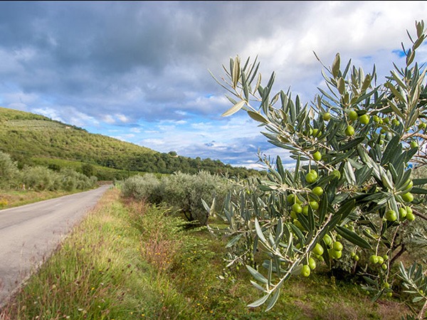 Along the Setteponti Road